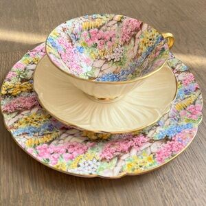 Shelley England Rock Garden Chintz Oleander Bone China Tea Cup Saucer Plate Trio